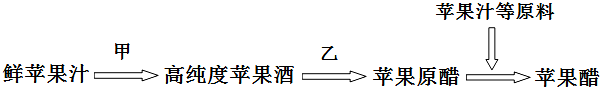 www.xiangpi.com