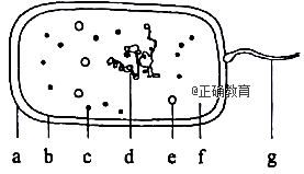 www.xiangpi.com
