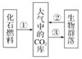 www.xiangpi.com