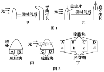 www.xiangpi.com