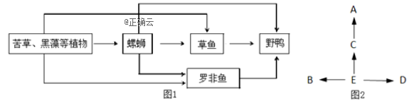 www.xiangpi.com
