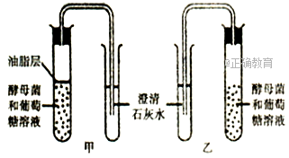 www.xiangpi.com