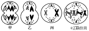 www.xiangpi.com