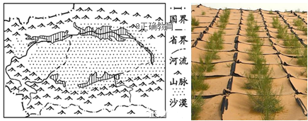 www.xiangpi.com