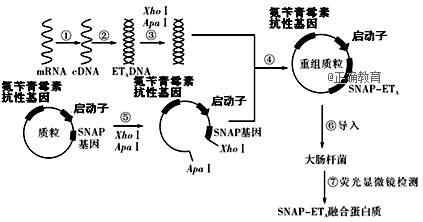 www.xiangpi.com