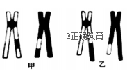 www.xiangpi.com