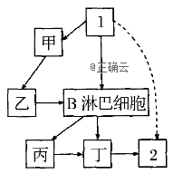 www.xiangpi.com