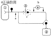 www.xiangpi.com