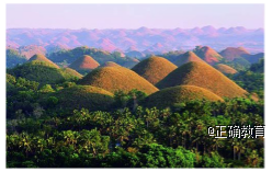 www.xiangpi.com