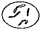 www.xiangpi.com
