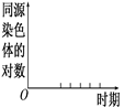 www.xiangpi.com