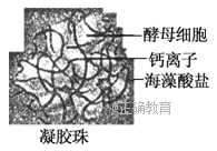 www.xiangpi.com