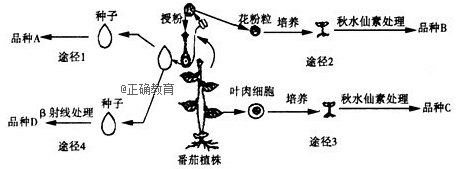 www.xiangpi.com
