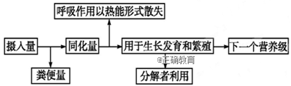 www.xiangpi.com