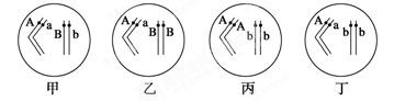 www.xiangpi.com