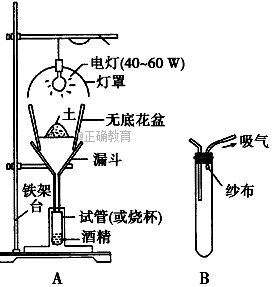 www.xiangpi.com