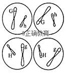 www.xiangpi.com