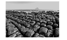 www.xiangpi.com