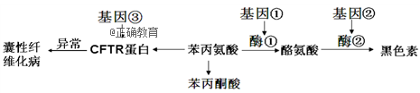 www.xiangpi.com