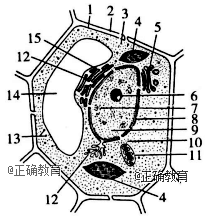 www.xiangpi.com