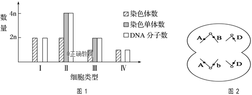 www.xiangpi.com