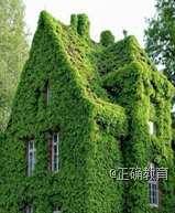 www.xiangpi.com