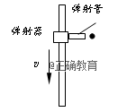 www.xiangpi.com