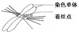 www.xiangpi.com
