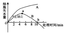 www.xiangpi.com