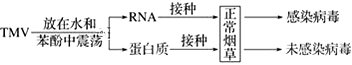 www.xiangpi.com