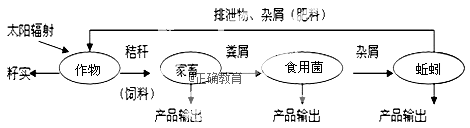 www.xiangpi.com