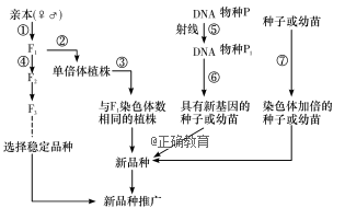 www.xiangpi.com