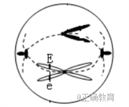 www.xiangpi.com