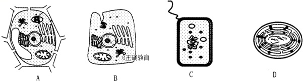 www.xiangpi.com