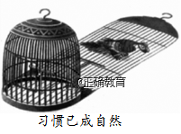 www.xiangpi.com