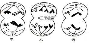 www.xiangpi.com