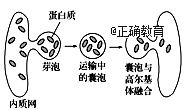 www.xiangpi.com