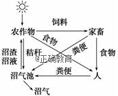 www.xiangpi.com