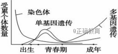 www.xiangpi.com