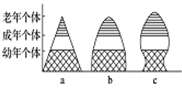 www.xiangpi.com