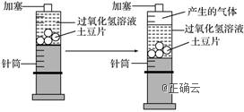 www.xiangpi.com
