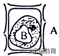 www.xiangpi.com