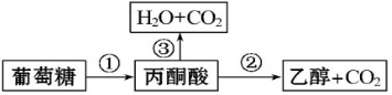www.xiangpi.com