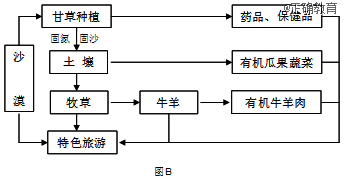 www.xiangpi.com