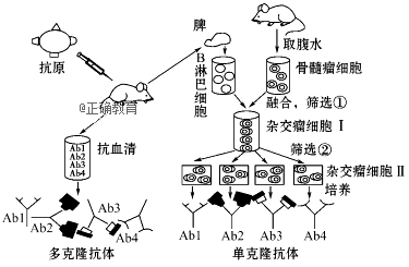 www.xiangpi.com
