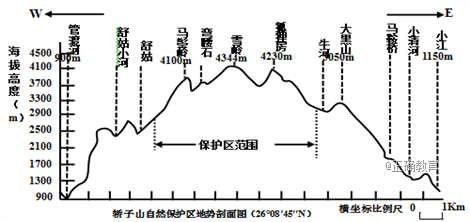 www.xiangpi.com