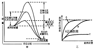 www.xiangpi.com
