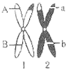 www.xiangpi.com