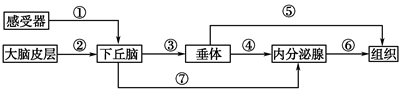 www.xiangpi.com