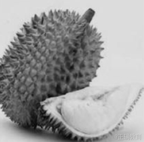 www.xiangpi.com